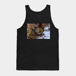 Red Squirrel. Tank Top